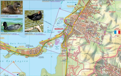 Saint-Martin / Sint Maarten (French & Dutch Caribbean)