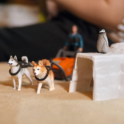 schleich WILD LIFE Antarctica-expeditie, vanaf 3 jaar, 42558 - Speelsets, 19 Onderdelen
