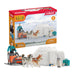 schleich WILD LIFE Antarctica-expeditie, vanaf 3 jaar, 42558 - Speelsets, 19 Onderdelen