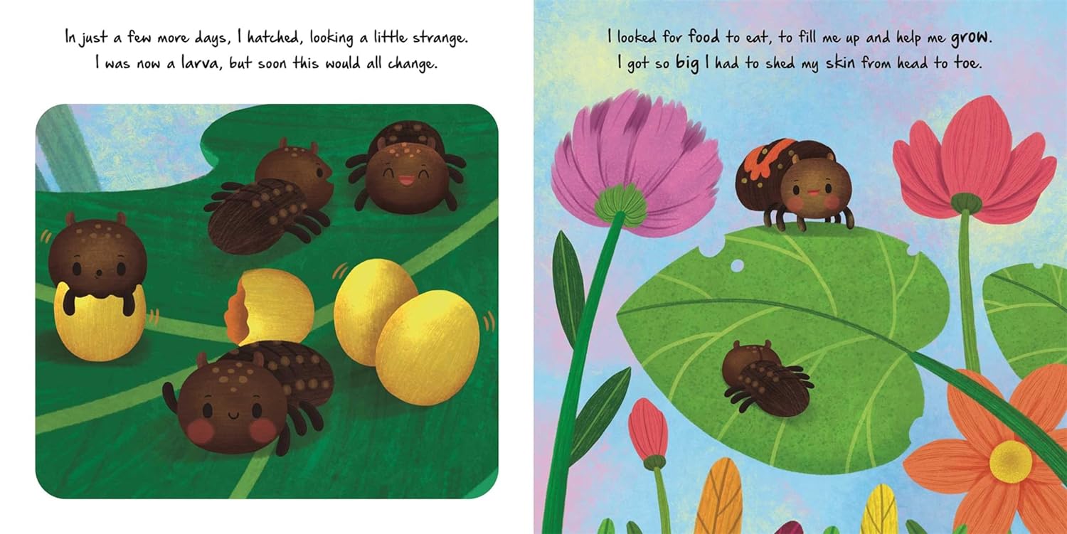 Nature Stories: Little Ladybug Discover an Amazing Story from the Natural World