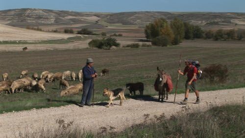 Zu Fuss nach Santiago de Compostela