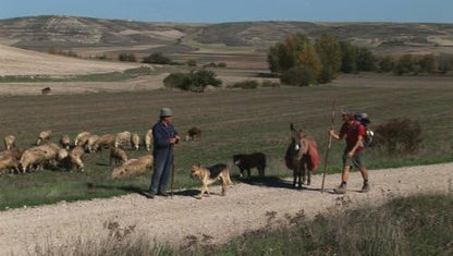 Zu Fuss nach Santiago de Compostela