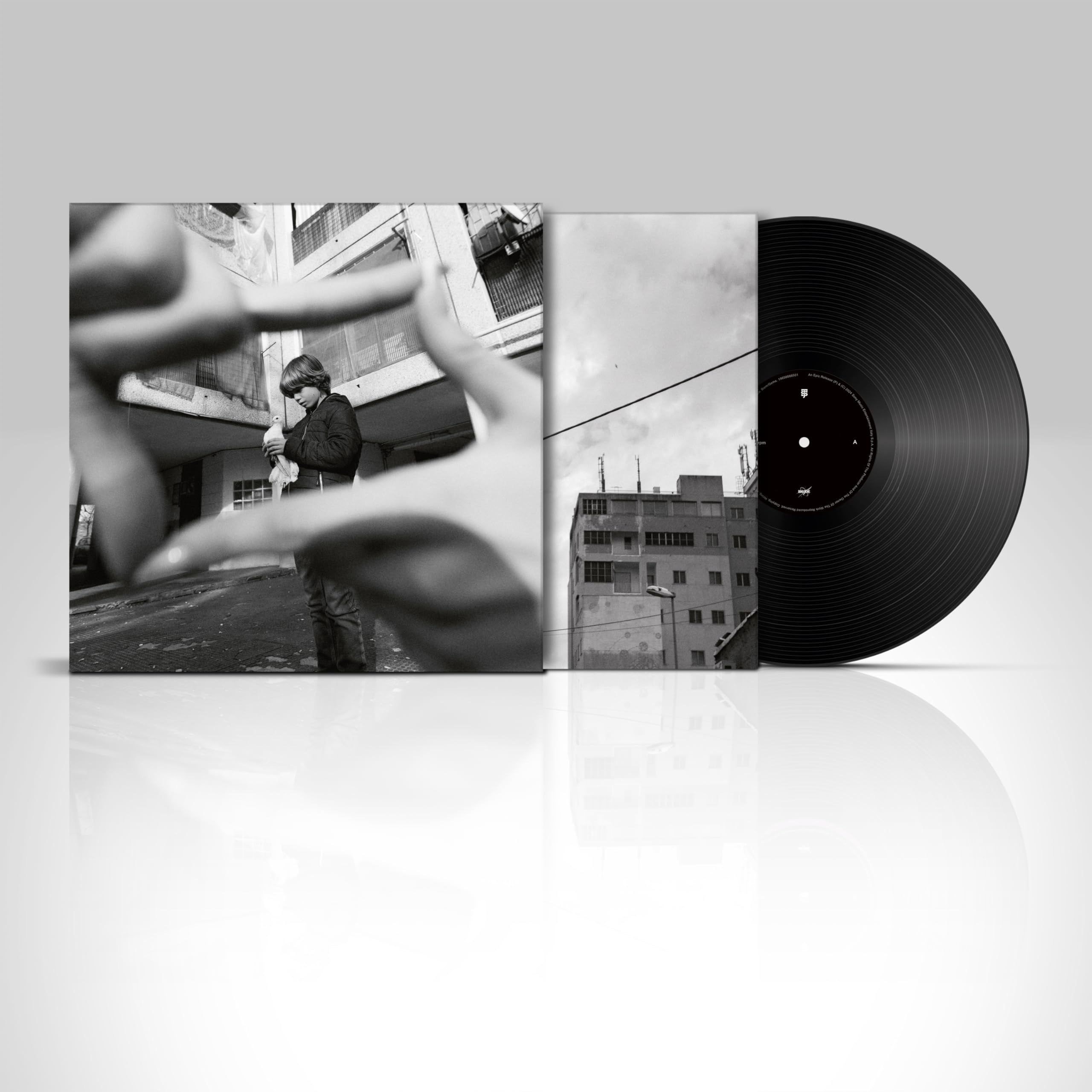 Sedicinoni - Black