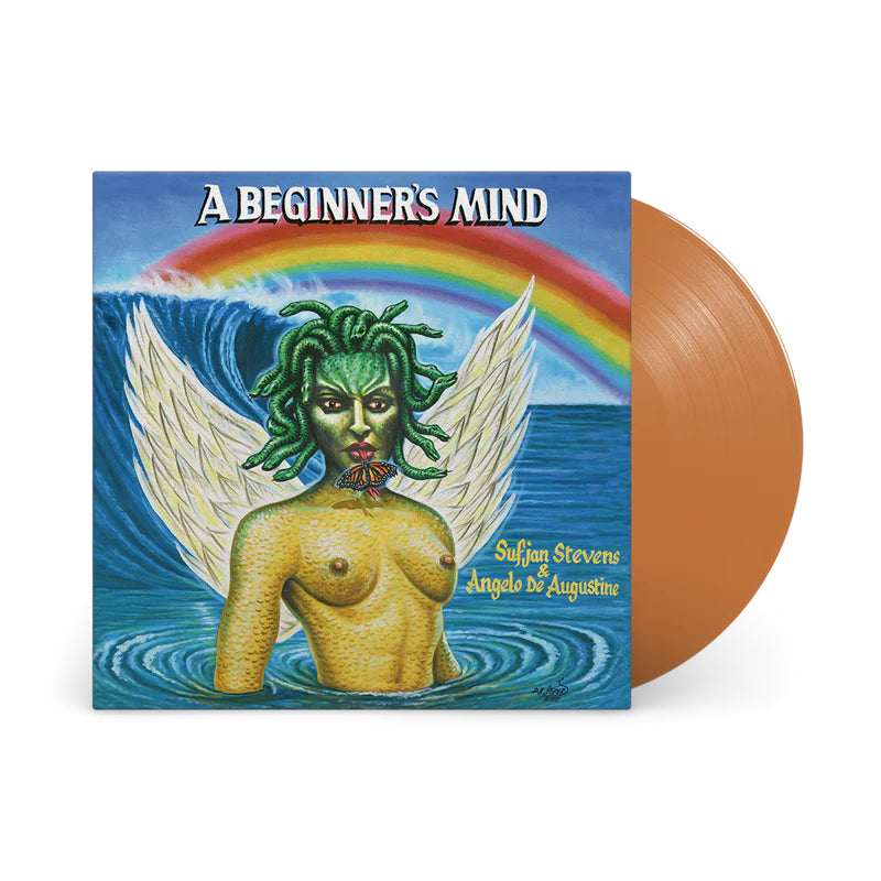A Beginner's Mind