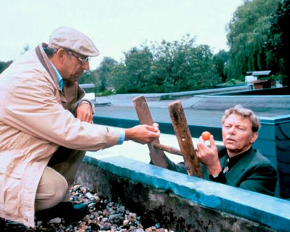 Der kleine Dachschaden / Preisgekrönte Komödie mit Starbesetzung (Pidax Film-Klassiker