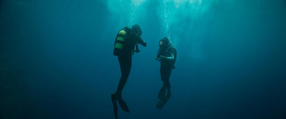 ERLENWEIN, MAXIMILIAN - THE DIVE