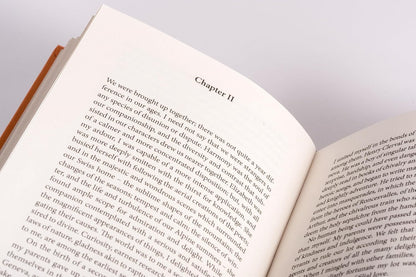 Shelley - Frankenstein, or the Modern Prometheus. 1831 revised english Edition: A special edition hardcover with silver foil embossing. (The English Edition, Band 4