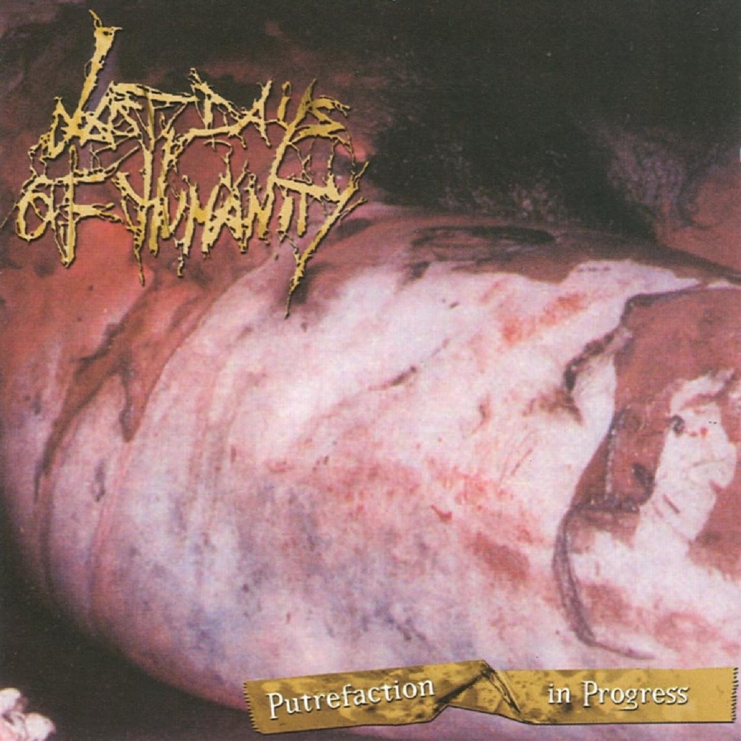 Putrefaction in progress