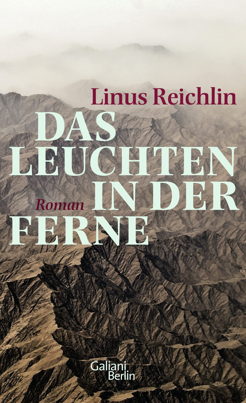 Das Leuchten in der Ferne: Roman