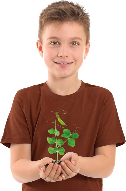 Clementoni Spiel Lab Pflanzgefäß Hydrokultur, Gemüsegarten Kinder, Anzuchtpflanzen, wissenschaftliches Labor 6 Jahre, Experimente Wissenschaft, Botanisch, auf Italienisch, Made in Italy, Mehrfarbig