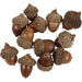 Acorns Pack of 12