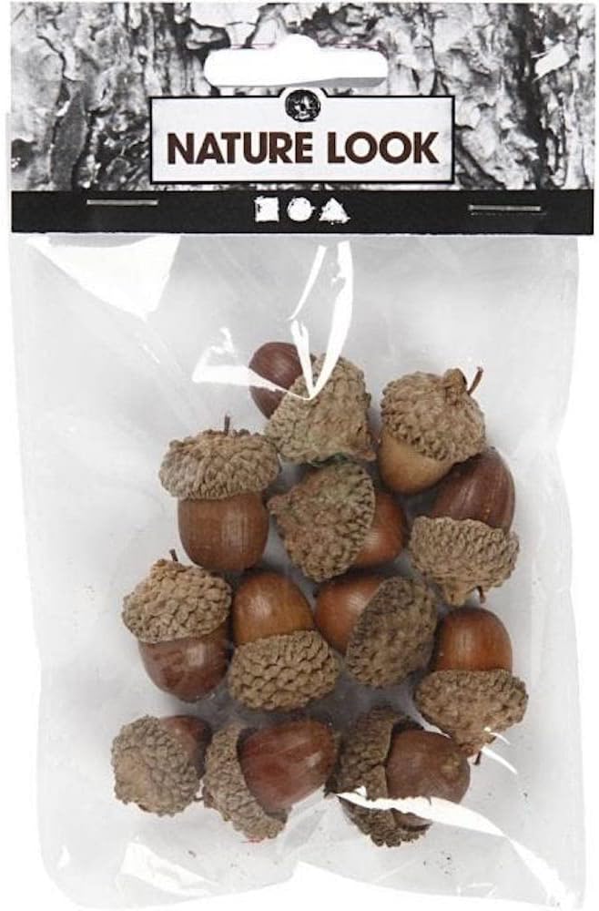 Acorns Pack of 12