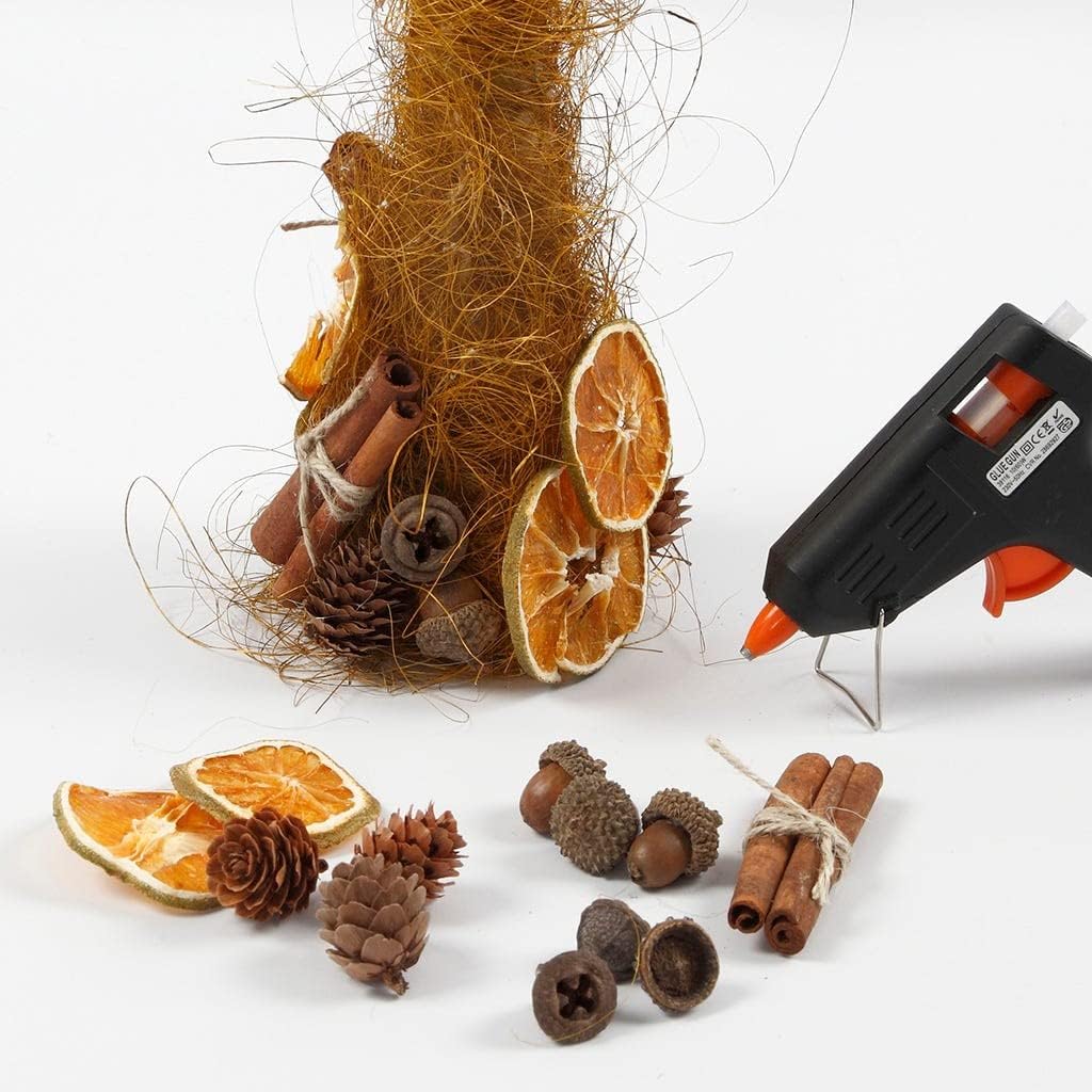 Acorns Pack of 12