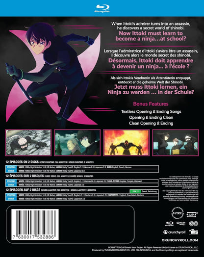 Shinobi no Ittoki - Gesamtausgabe -