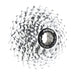 SRAM Pg1070 10 Speed Cassette  10Speed 12-25T
