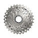SRAM Rival Xg-1250 Axs Cassette Silver 10-36T