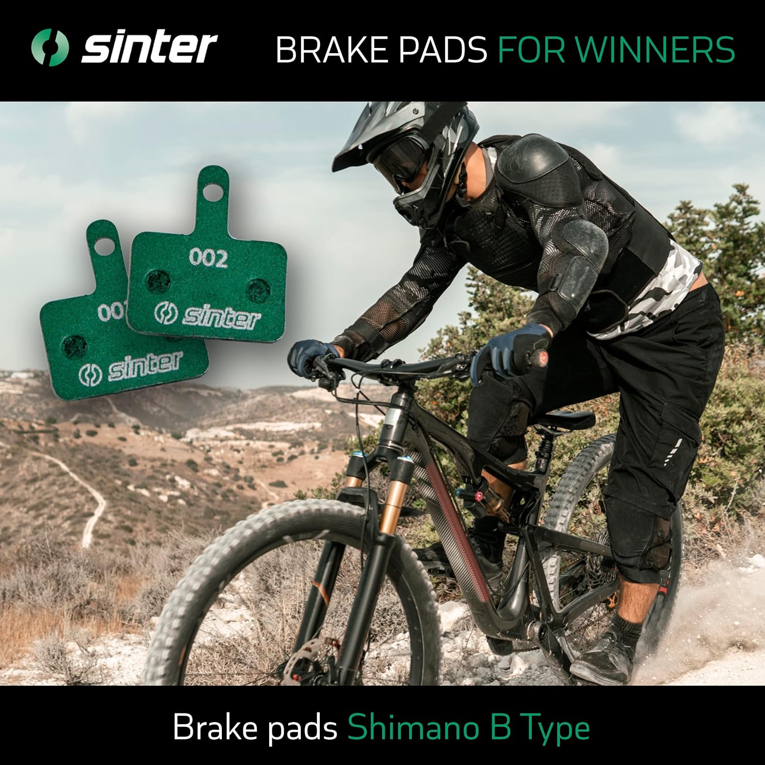 Sinter Brake pad Race - 02 Green / Race
