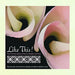 Like This! Hear Rumi's Work By International Poets Jack Hirschman English Mahnaz Badihian Farsi