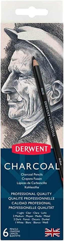 Derwent Houtskool Drawing Potloden, Tekenen en Schrijven, Set van 6 met Puntenslijper, Licht, Medium, Donker en Getint Houtskool Wit, Ideaal voor Mengen en Vervagen, Professionele Kwaliteit, 0700838