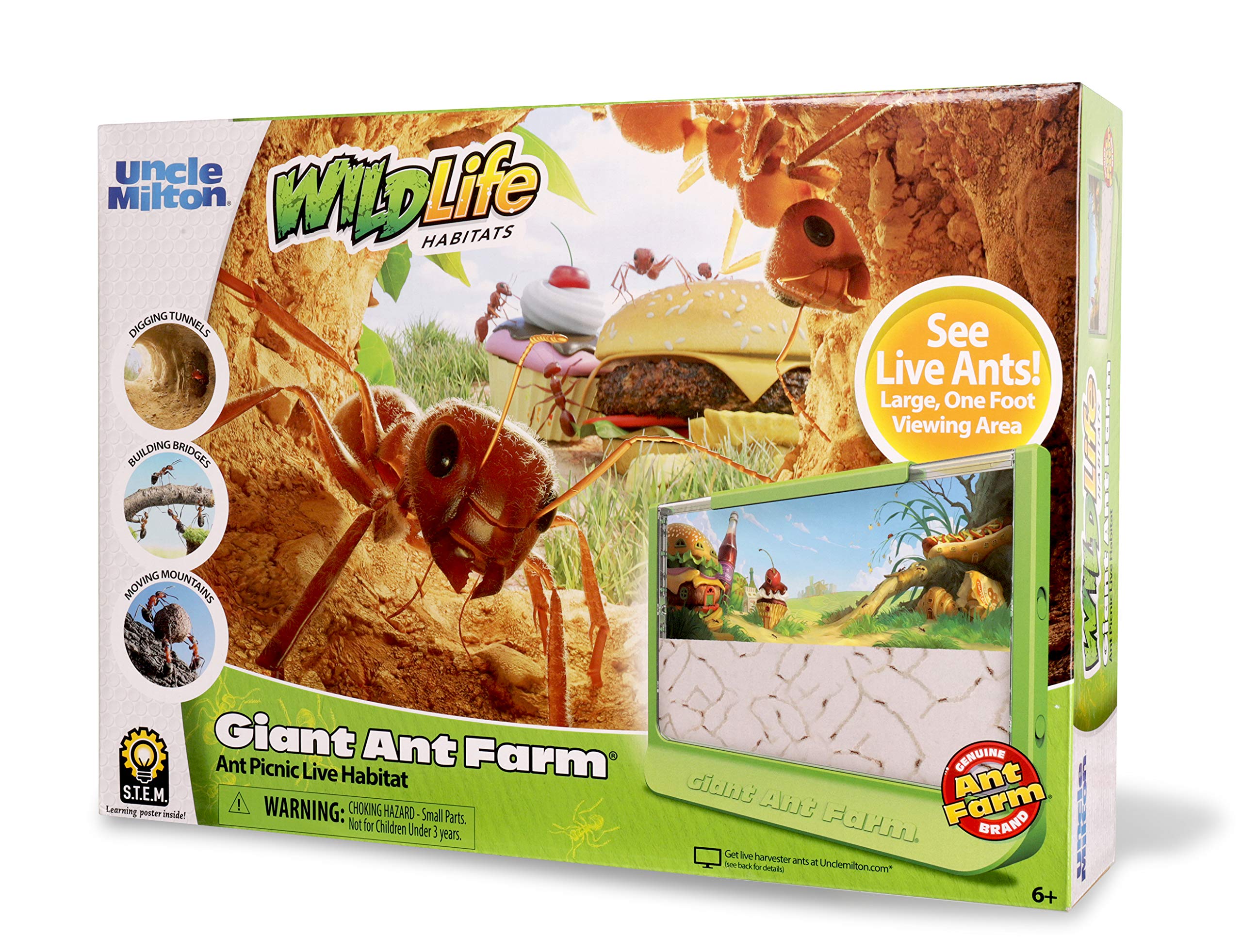 Uncle Milton | Giant Ant Farm | Extra Large Viewing Area with Ant Picnic Scene, Classroom Toy, Classic Kids Educational Toy for Boys and Girls Aged 6+ | Basic Fun 00056, Grün