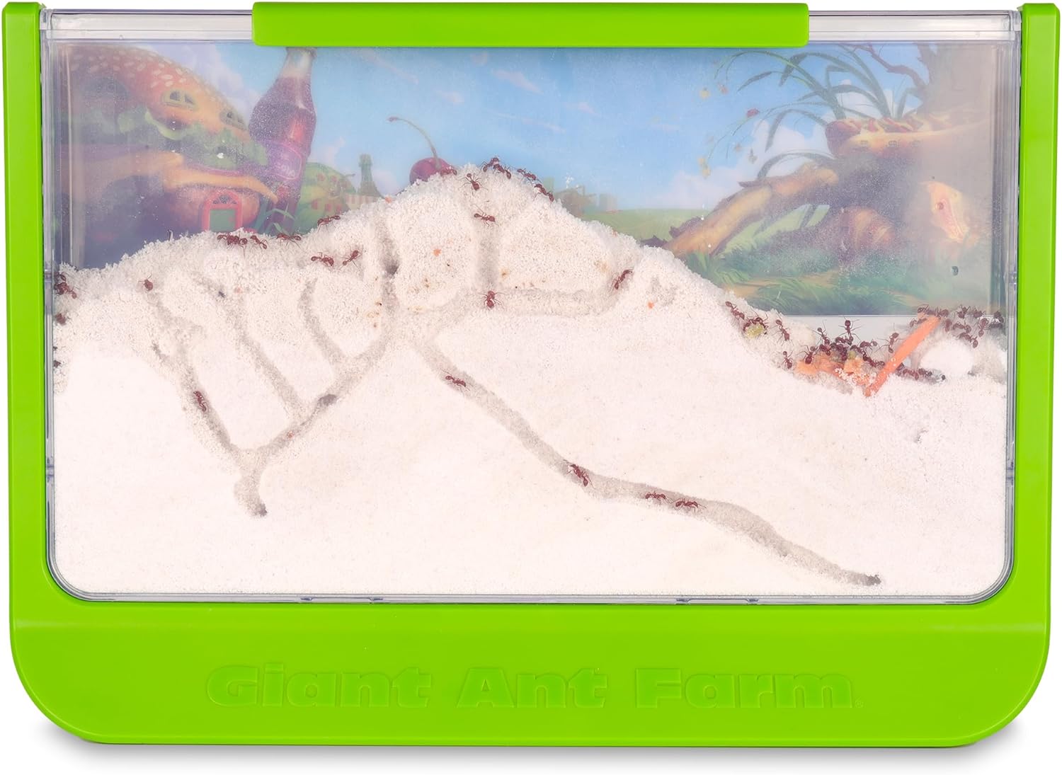 Uncle Milton | Giant Ant Farm | Extra Large Viewing Area with Ant Picnic Scene, Classroom Toy, Classic Kids Educational Toy for Boys and Girls Aged 6+ | Basic Fun 00056, Grün