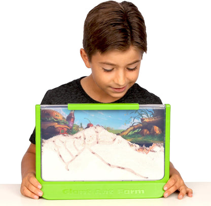Uncle Milton | Giant Ant Farm | Extra Large Viewing Area with Ant Picnic Scene, Classroom Toy, Classic Kids Educational Toy for Boys and Girls Aged 6+ | Basic Fun 00056, Grün