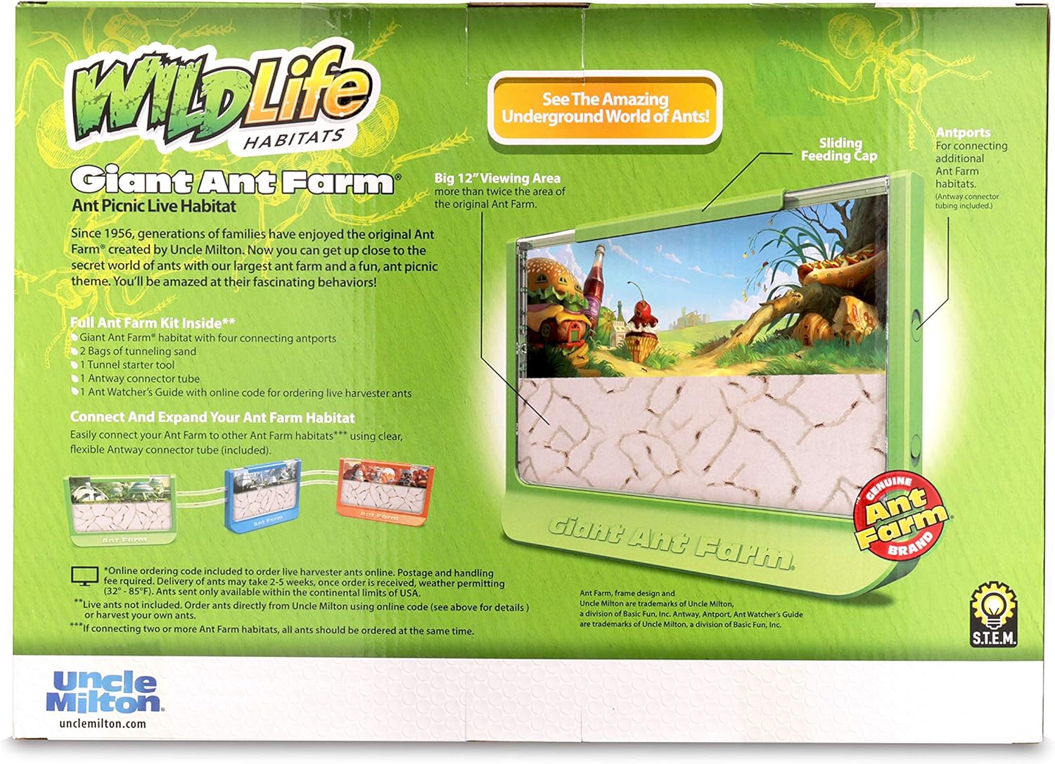 Uncle Milton | Giant Ant Farm | Extra Large Viewing Area with Ant Picnic Scene, Classroom Toy, Classic Kids Educational Toy for Boys and Girls Aged 6+ | Basic Fun 00056, Grün
