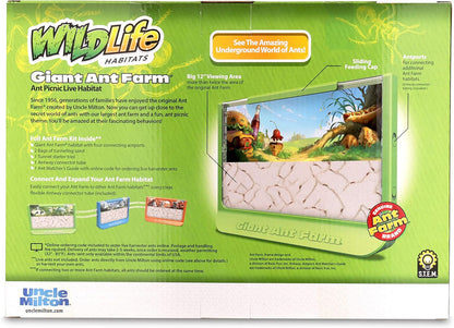 Uncle Milton | Giant Ant Farm | Extra Large Viewing Area with Ant Picnic Scene, Classroom Toy, Classic Kids Educational Toy for Boys and Girls Aged 6+ | Basic Fun 00056, Grün