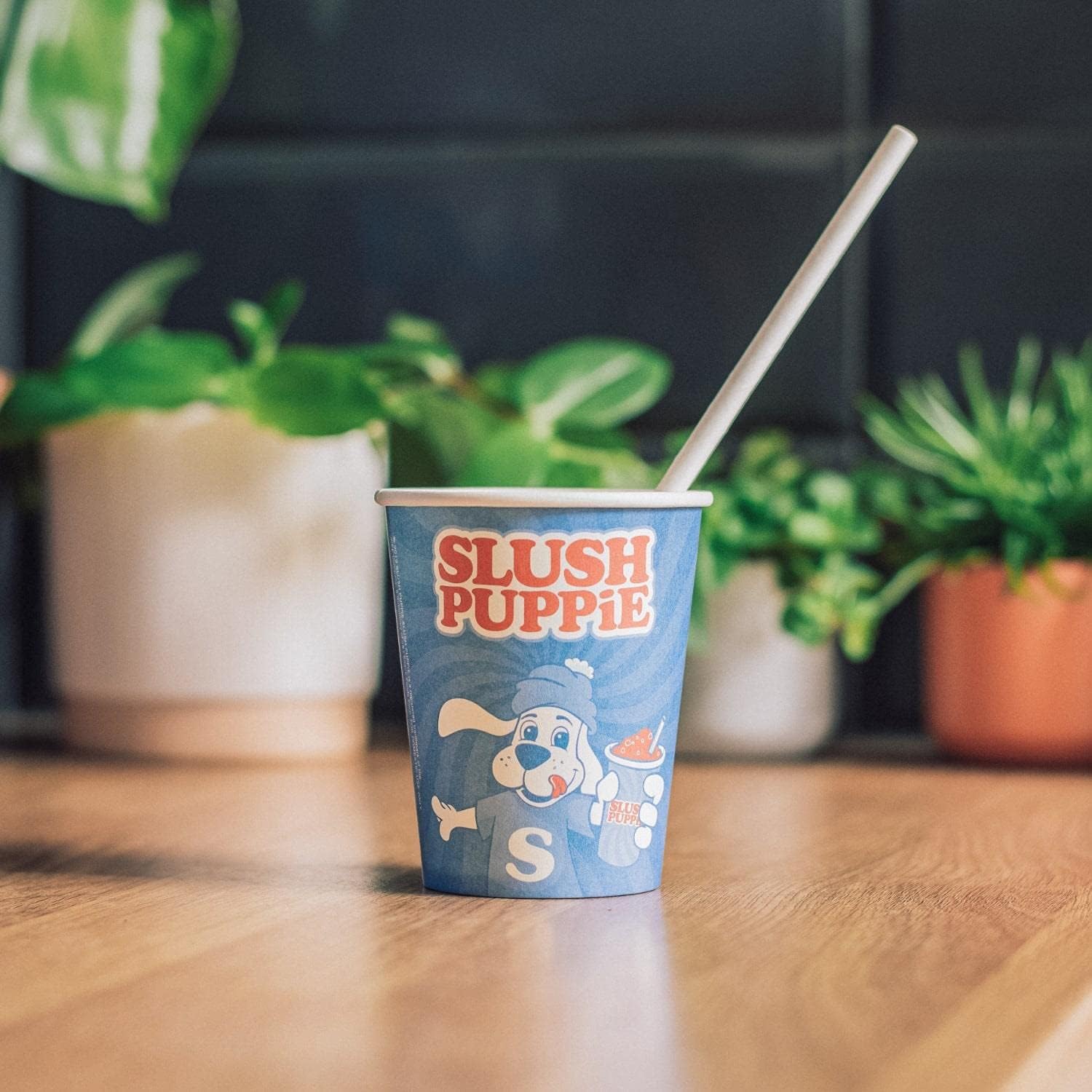 Slush Puppie Pack of 20 Paper Cups & Paper Straws