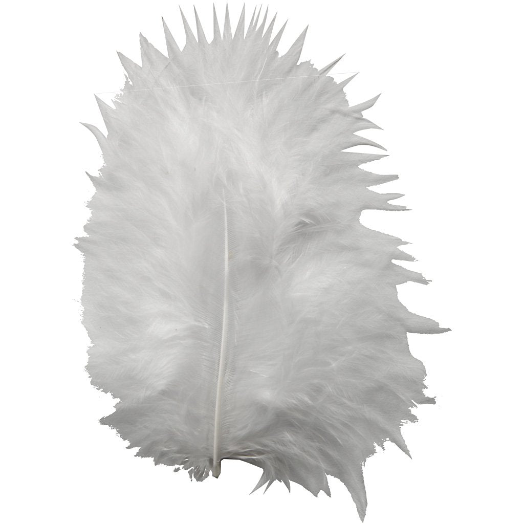 Federn, Größe 5-12 cm, 15 Stück