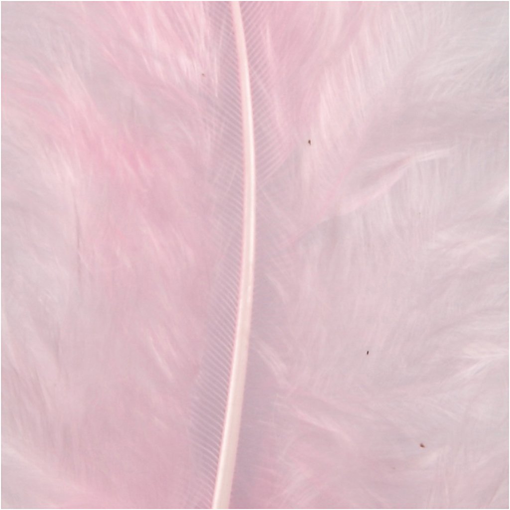 Feathers, size 5-12 cm, light red, 15pcs