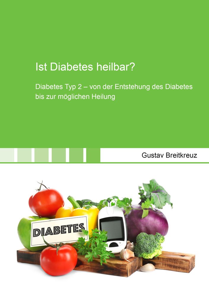 Ist Diabetes heilbar?: Diabetes Typ 2 – von der Entstehung des Diabetes bis zur möglichen Heilung (Gesundheitswissenschaften