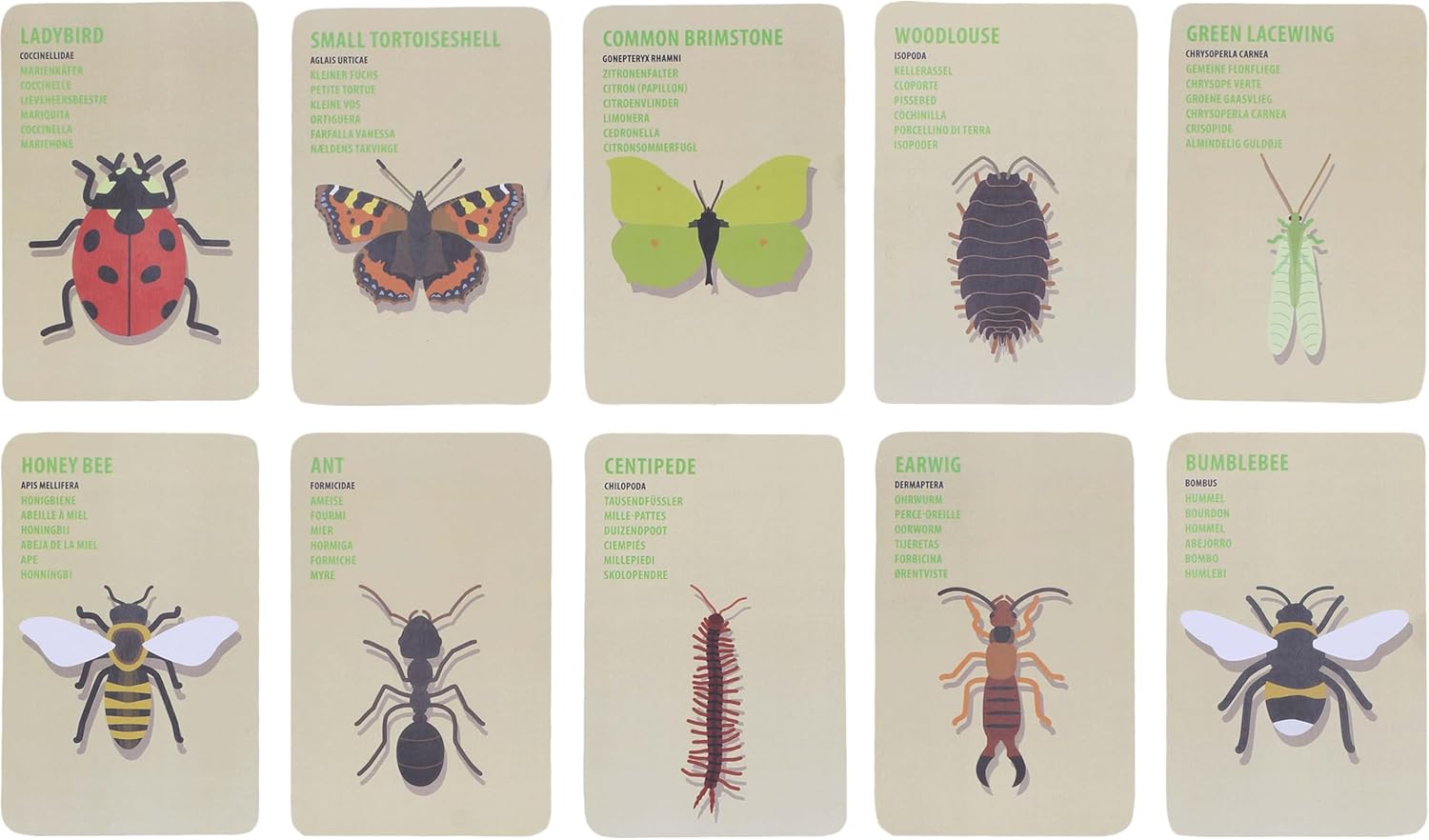 MESCOURSES Insektenforscher-Tasche, rot, S