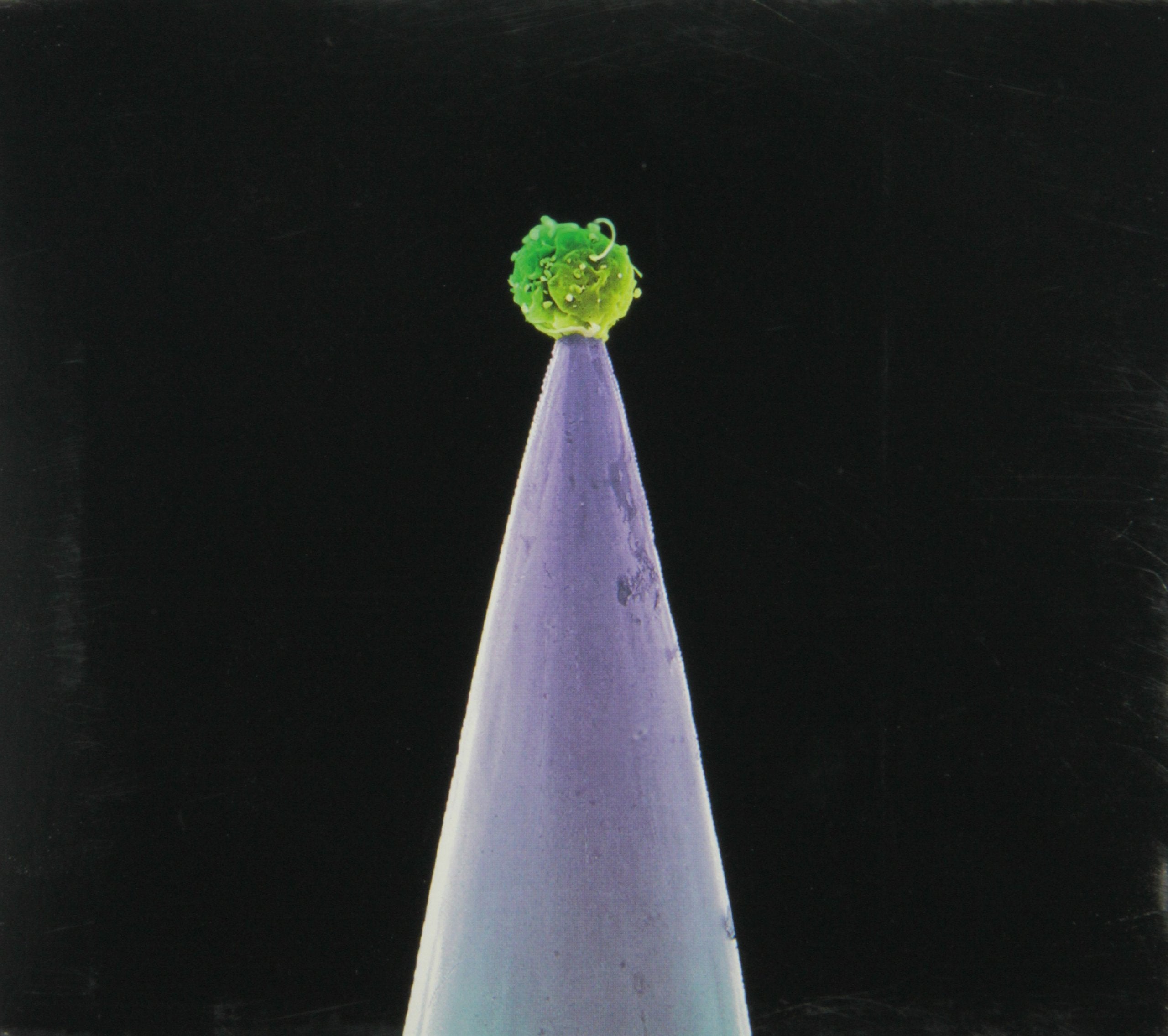 Gabriel Peter-New Blood n