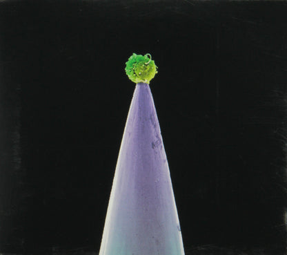 Gabriel Peter-New Blood n