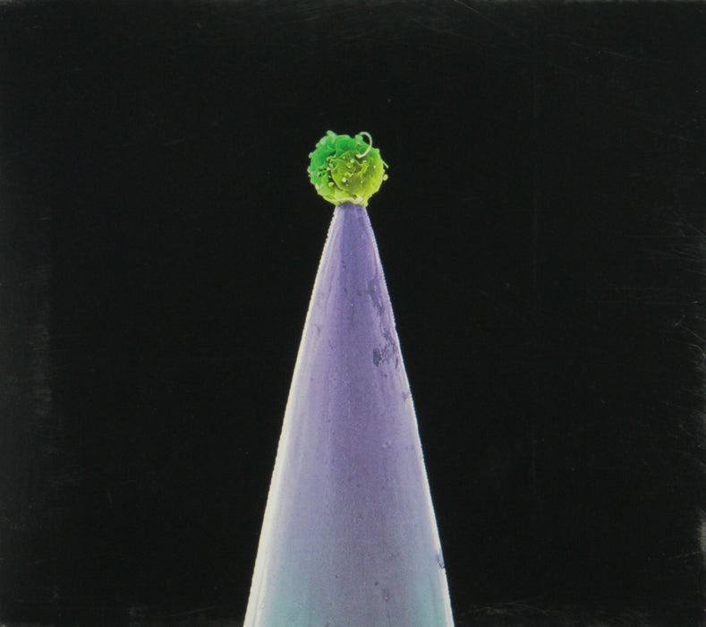 Gabriel Peter-New Blood n