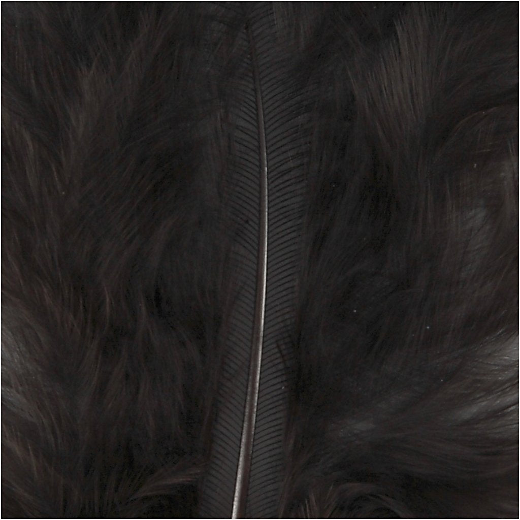 Feathers, size 5-12 cm, black, 15pcs