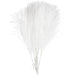K?nstliche Federn L 15 Cm B 8 Cm 10 Stck. Wei