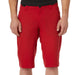 Giro Arc Shorts 2019 Dark Red 30