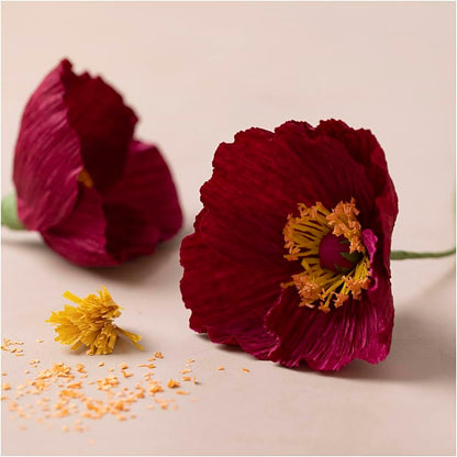 Creativ Company Mini Craft Sets Crepe Paper Flowers Poppies - for Crafting Beautiful Crepe Flowers