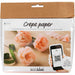 Creativ Company Mini Craft Sets Crepe Paper Floral Carnations - for Crafting Beautiful Crepe Flowers