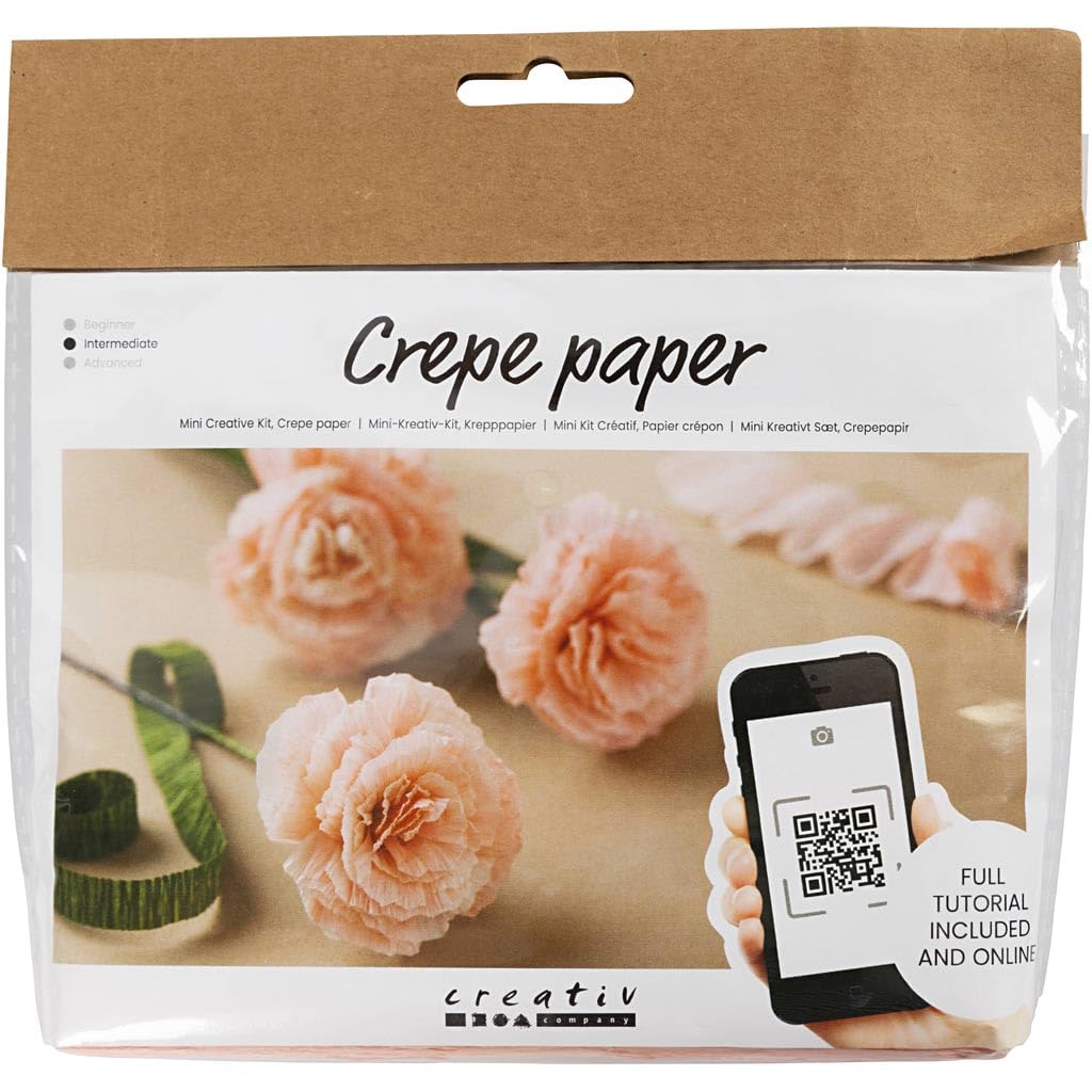 Creativ Company Mini Craft Sets Crepe Paper Floral Carnations - for Crafting Beautiful Crepe Flowers
