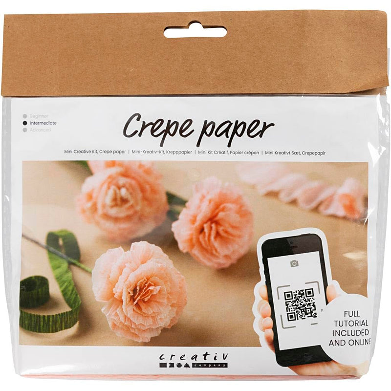 Creativ Company Mini Craft Sets Crepe Paper Floral Carnations - for Crafting Beautiful Crepe Flowers
