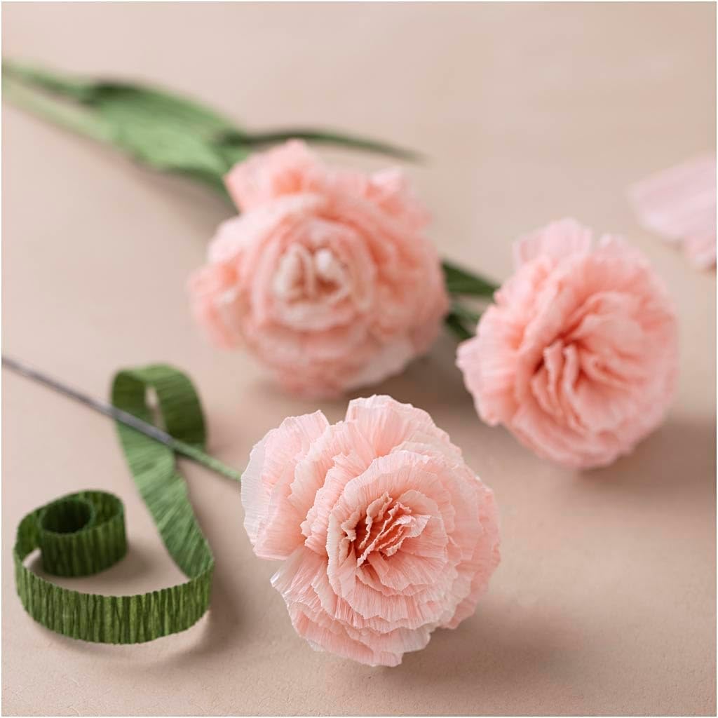 Creativ Company Mini Craft Sets Crepe Paper Floral Carnations - for Crafting Beautiful Crepe Flowers