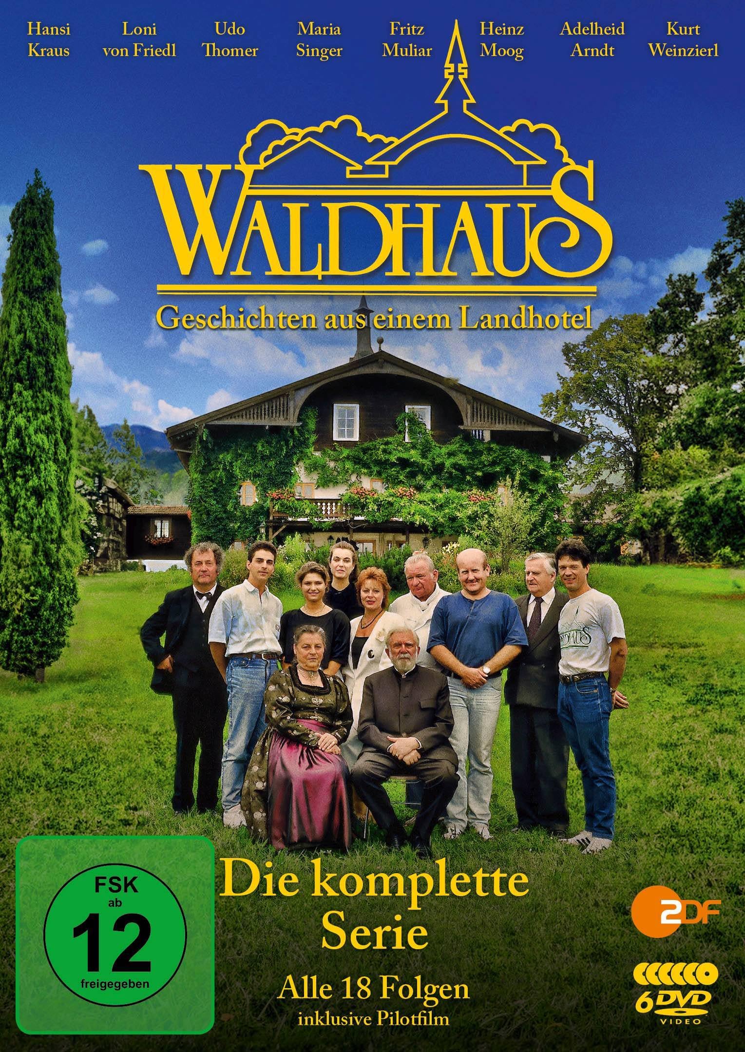 WALDHAUS - WALDHAUS - DIE KOMPLETTE ZDF-SERIE IN 18 TEILEN