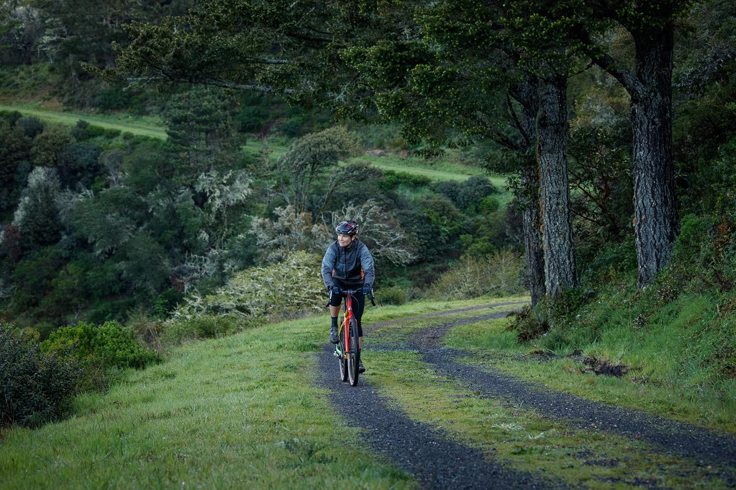 WTB Resolute Tcs Light FR fold Bike tire