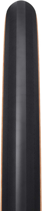 Exposure Road TCS tire