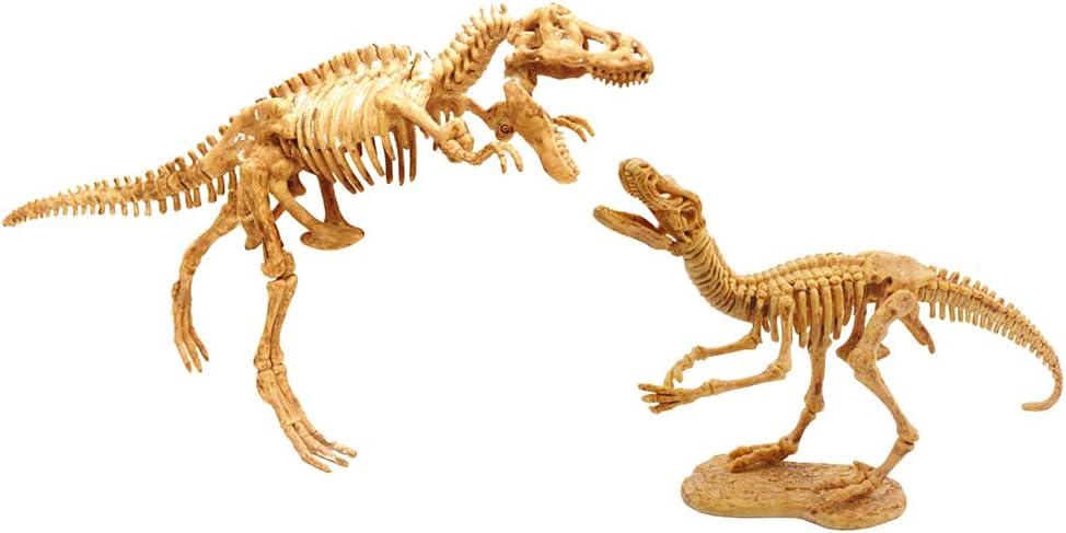 Dino Dig