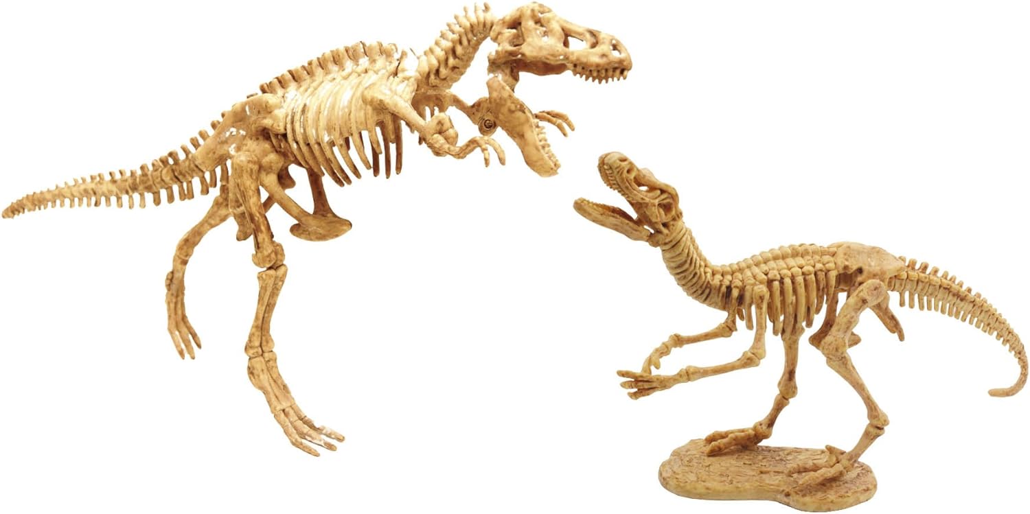 Dino Dig
