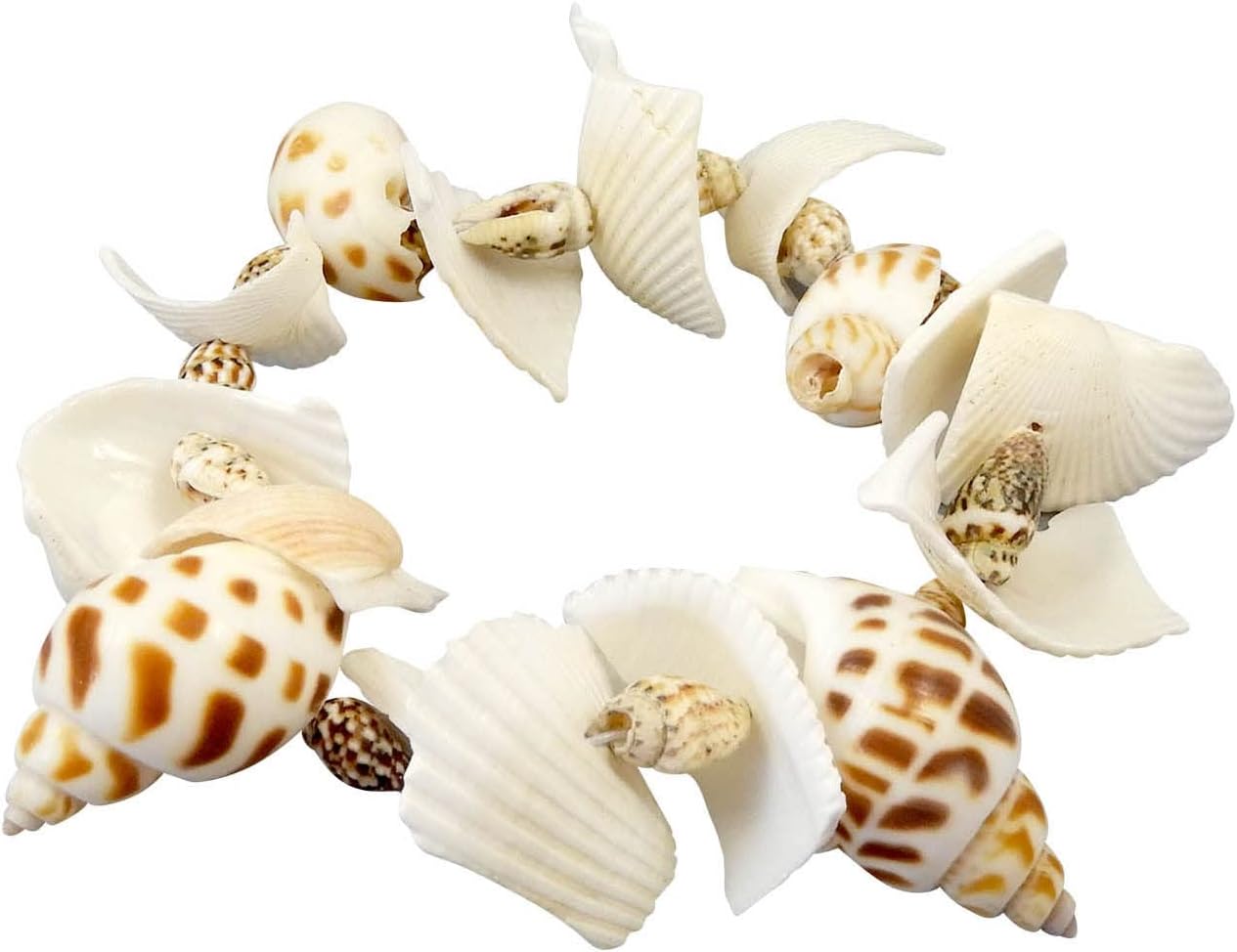 Buki 441 Shells